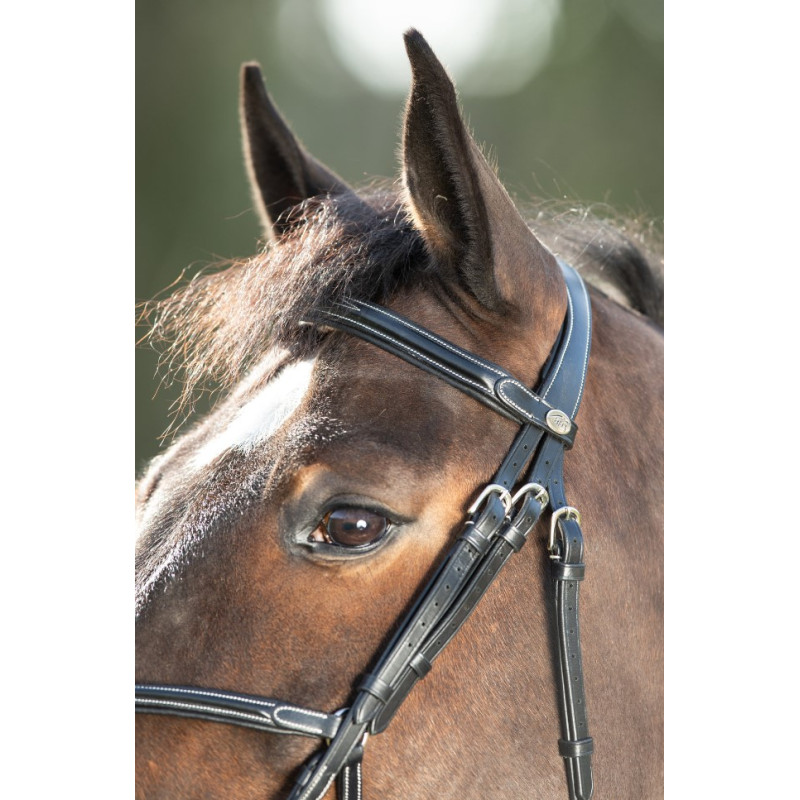 Mexican Bridle - HFI