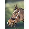 SHINY BRIDLE - HFI