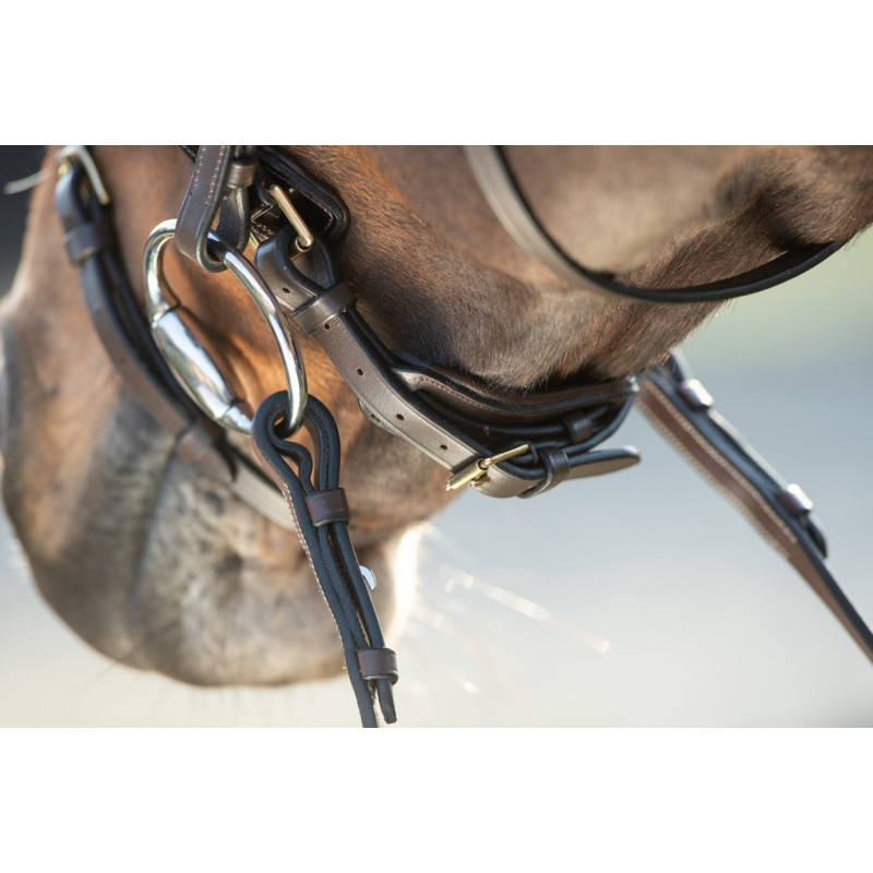 SHINY BRIDLE - HFI
