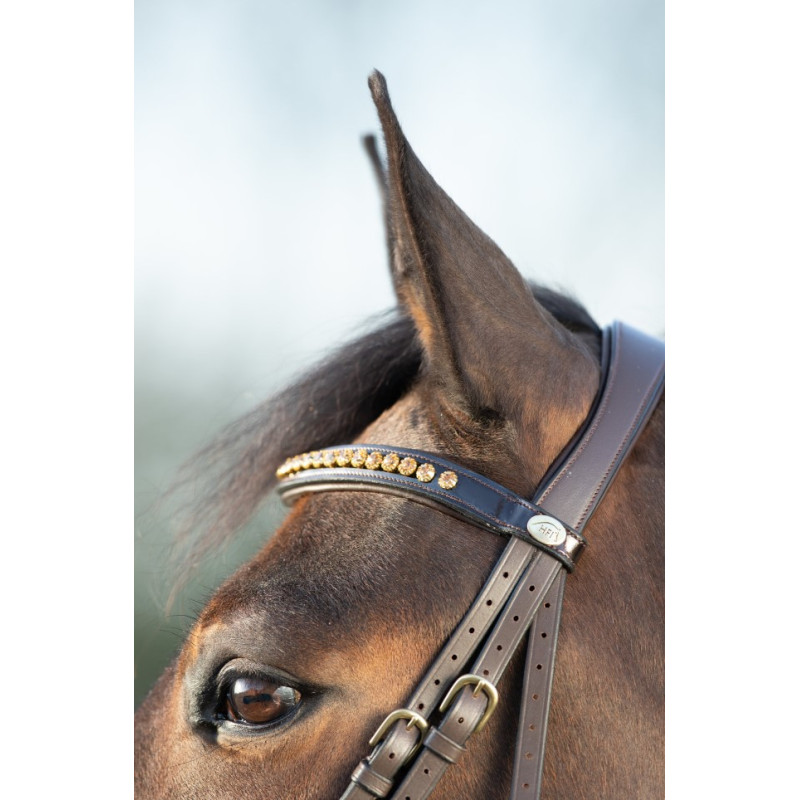 SHINY BRIDLE - HFI