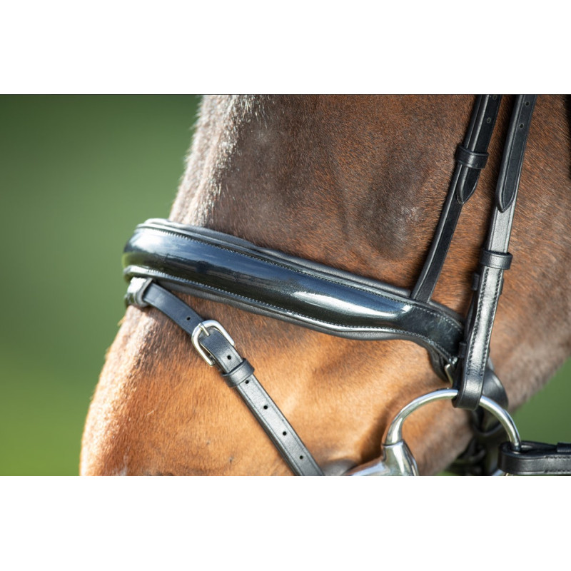 SHINY BRIDLE - HFI
