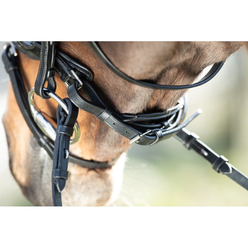 SHINY BRIDLE - HFI