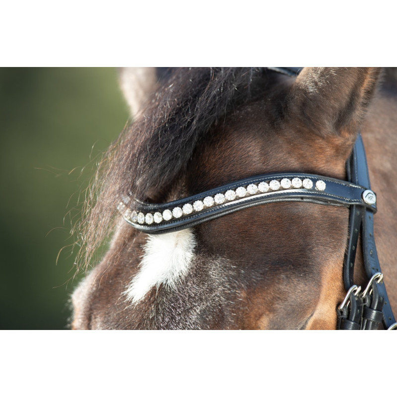 SHINY BRIDLE - HFI