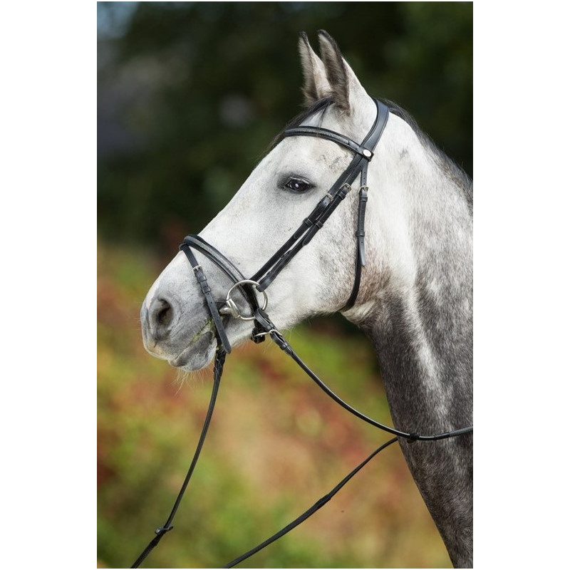Sparkly BRIDLE - HFI