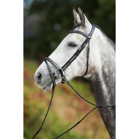 Sparkly BRIDLE - HFI