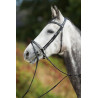 Sparkly BRIDLE - HFI
