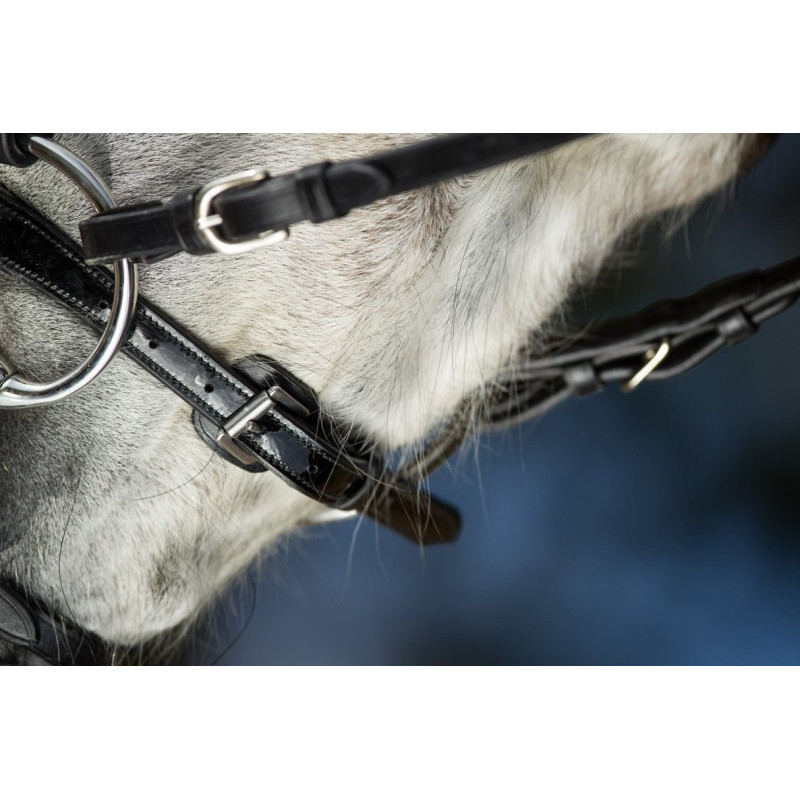 Sparkly BRIDLE - HFI