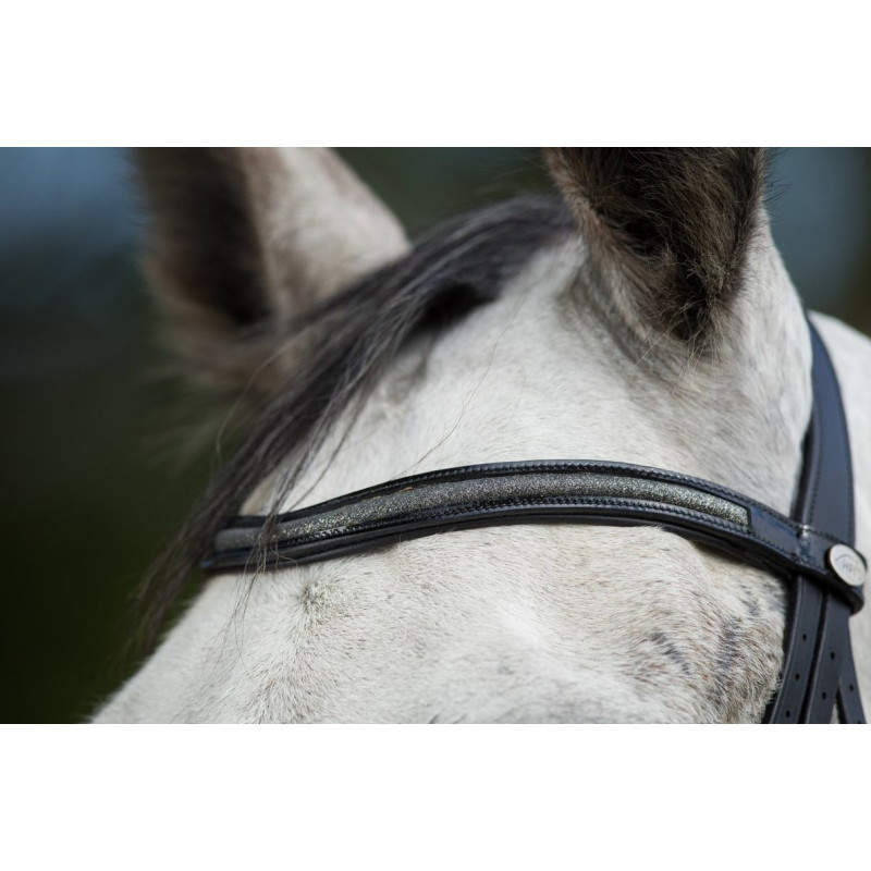 Sparkly BRIDLE - HFI