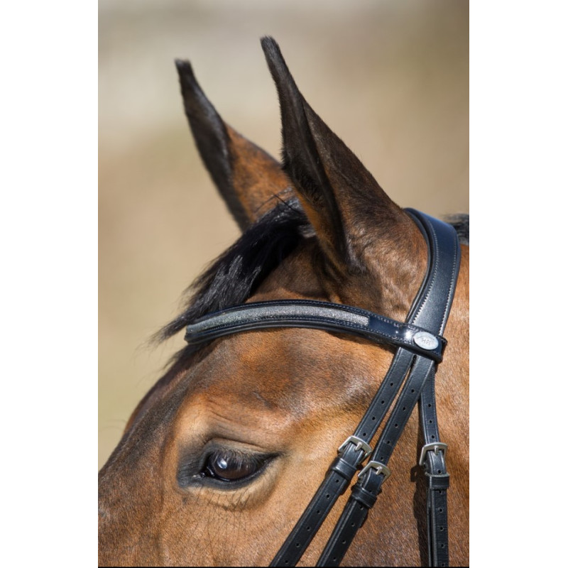 Sparkly BRIDLE - HFI