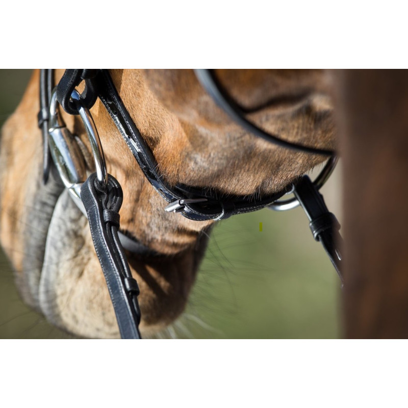 Sparkly BRIDLE - HFI