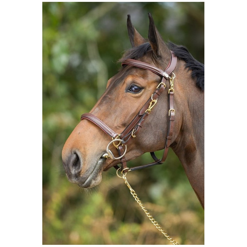 COMBO BRIDLE/HALTER - HFI