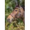 COMBO BRIDLE/HALTER - HFI