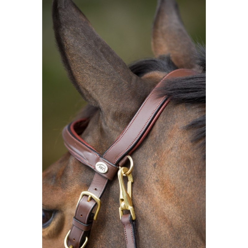 COMBO BRIDLE/HALTER - HFI