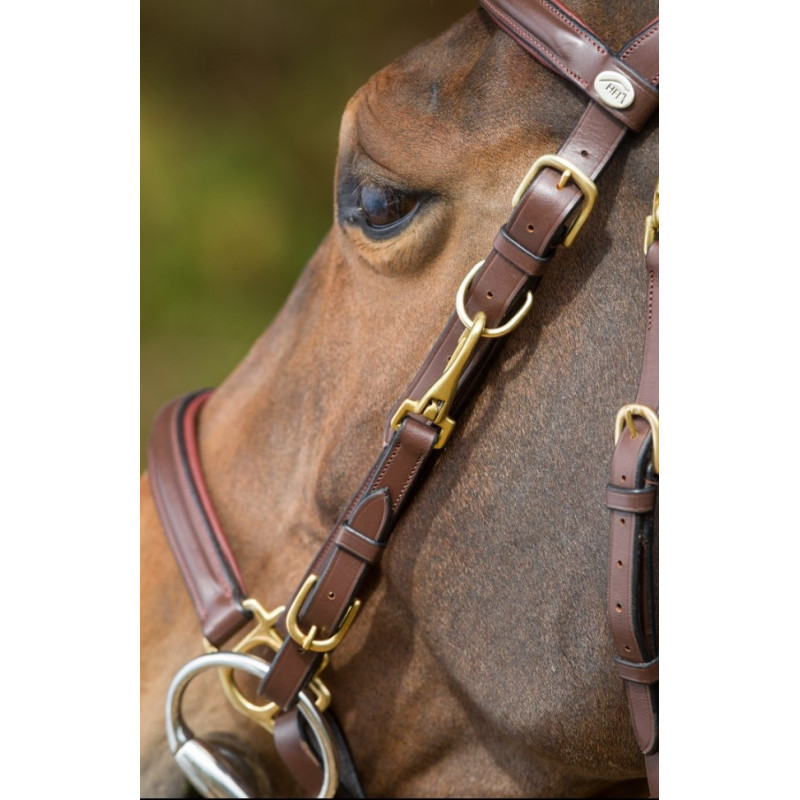 COMBO BRIDLE/HALTER - HFI