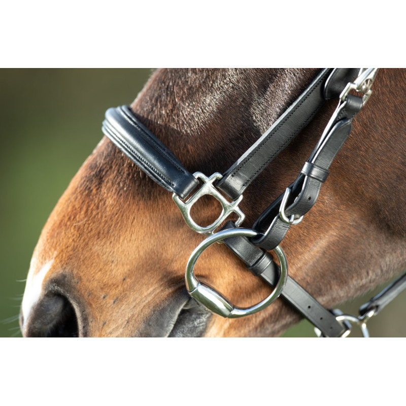 COMBO BRIDLE/HALTER - HFI