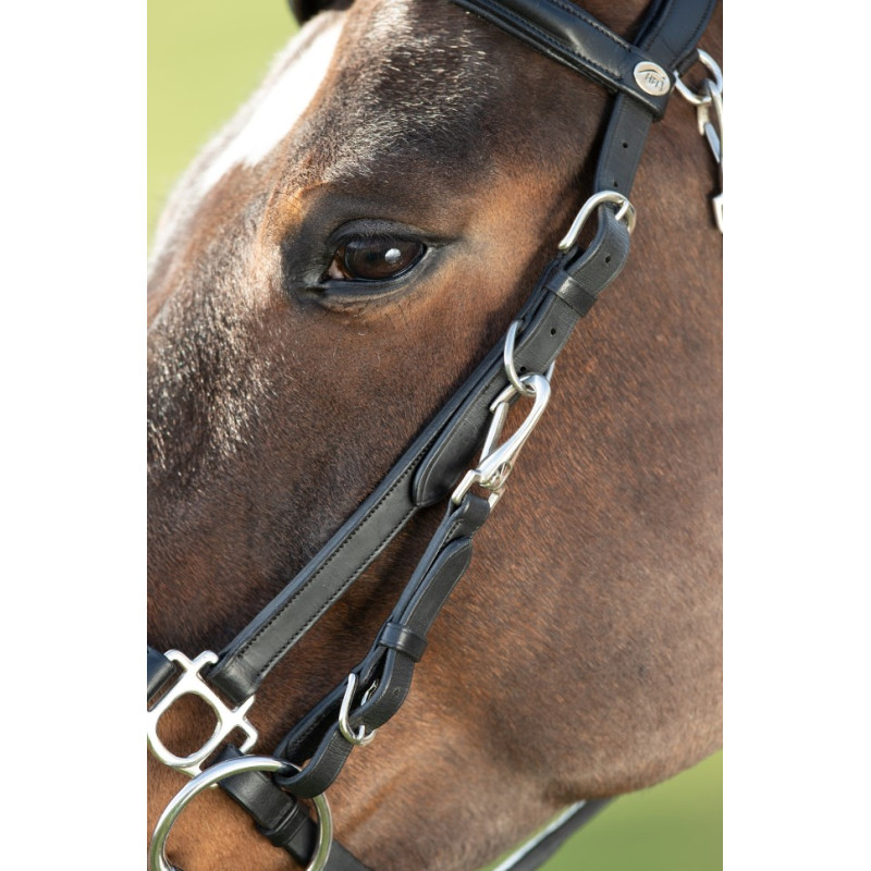 COMBO BRIDLE/HALTER - HFI
