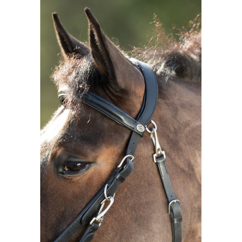 COMBO BRIDLE/HALTER - HFI