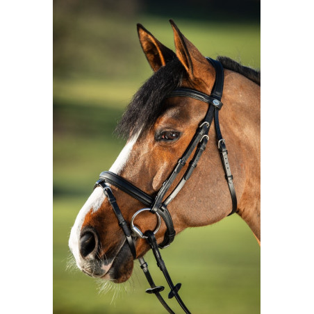 SOFT BRIDLE - HFI