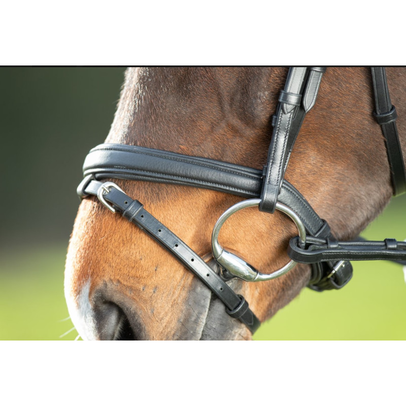 SOFT BRIDLE - HFI