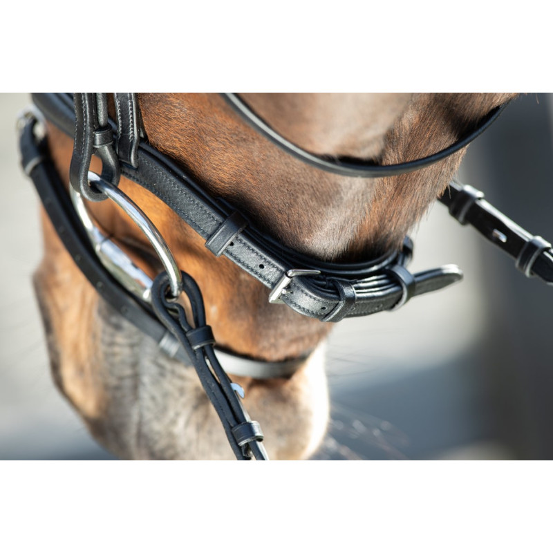 SOFT BRIDLE - HFI