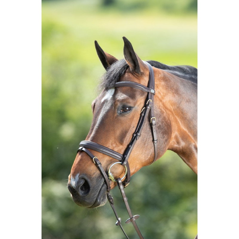 SOFT BRIDLE - HFI