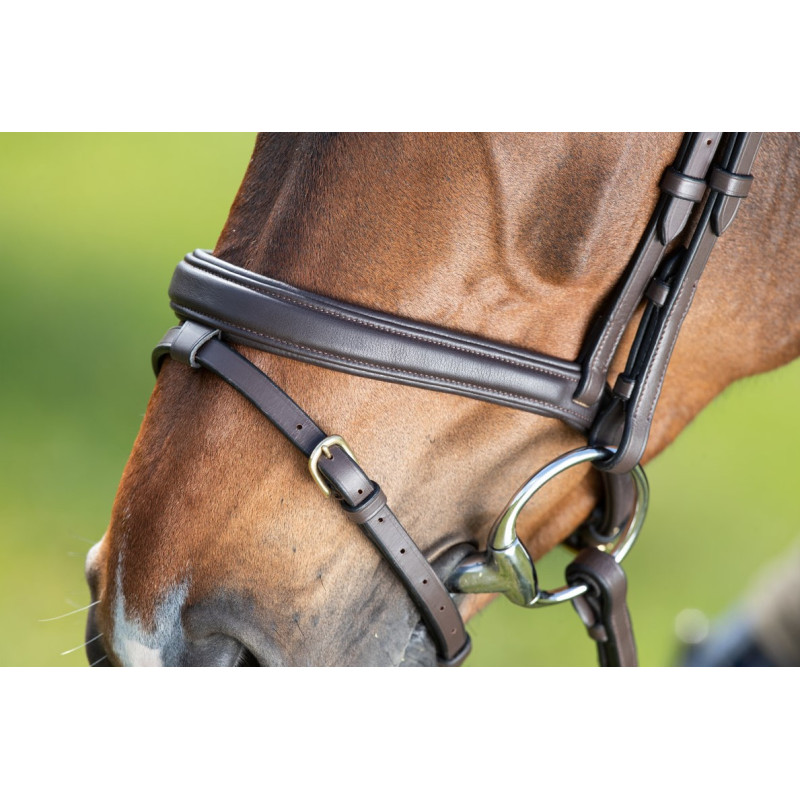 SOFT BRIDLE - HFI