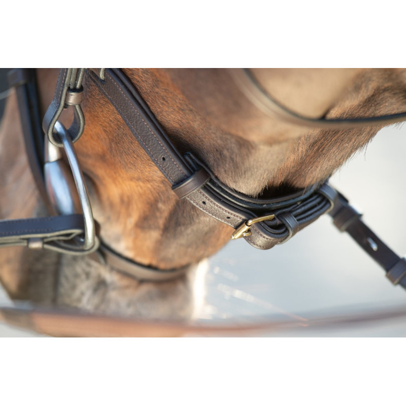 SOFT BRIDLE - HFI
