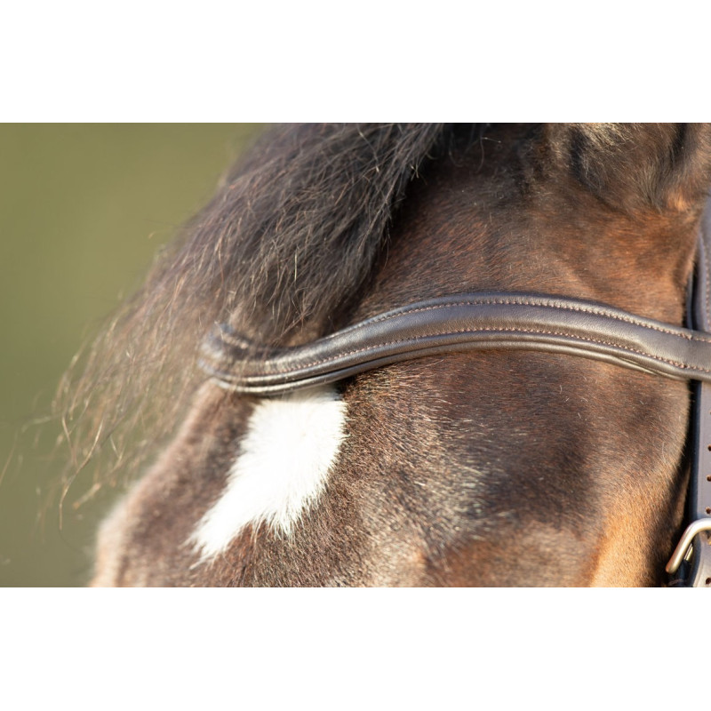 SOFT BRIDLE - HFI