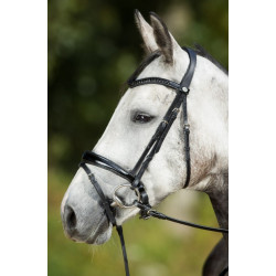 Luxe BRIDLE
