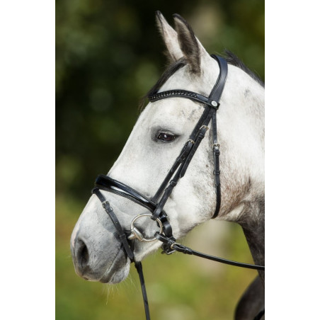 Luxe BRIDLE - HFI
