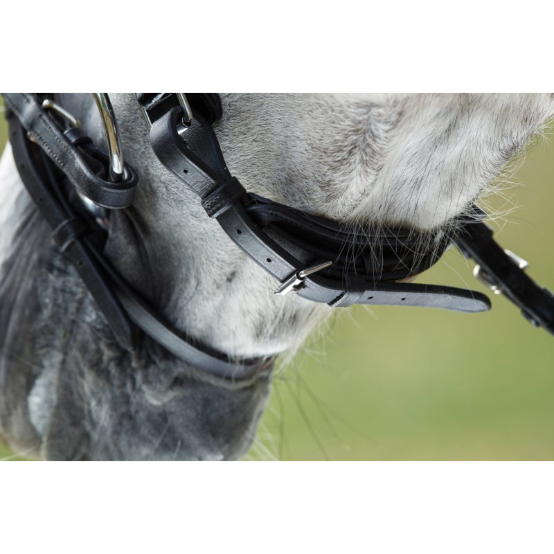 Luxe BRIDLE - HFI