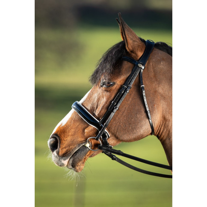 Weymouth Double Bridle 2 in 1 - HFI