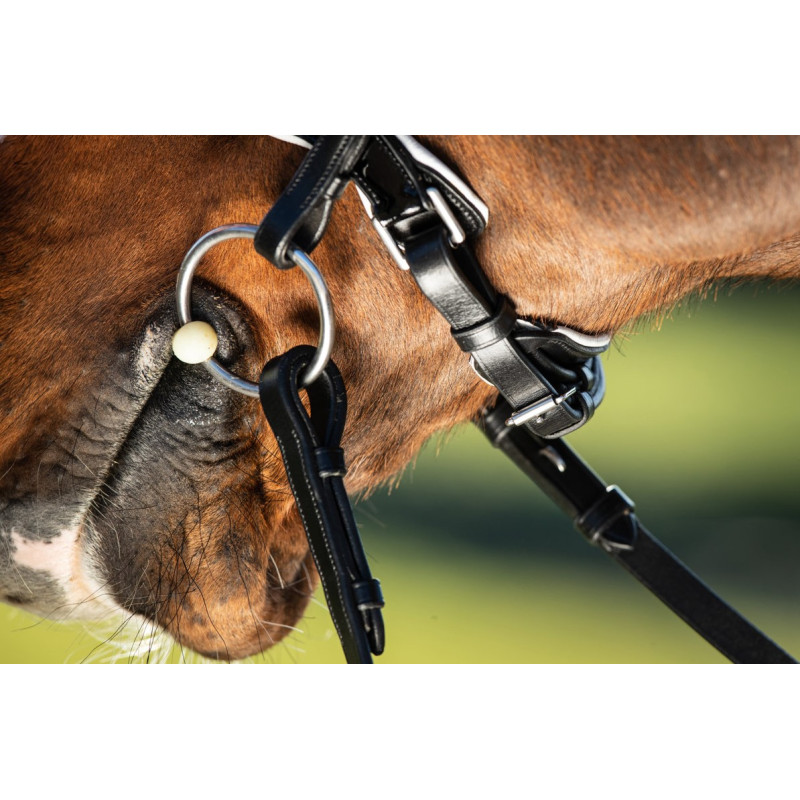 Weymouth Double Bridle 2 in 1 - HFI