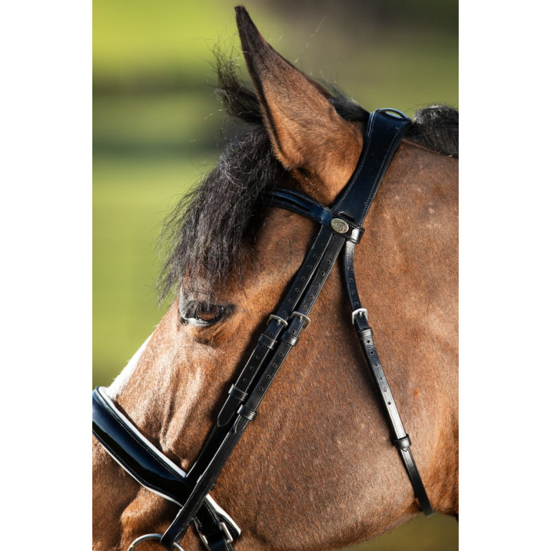 Weymouth Double Bridle 2 in 1 - HFI