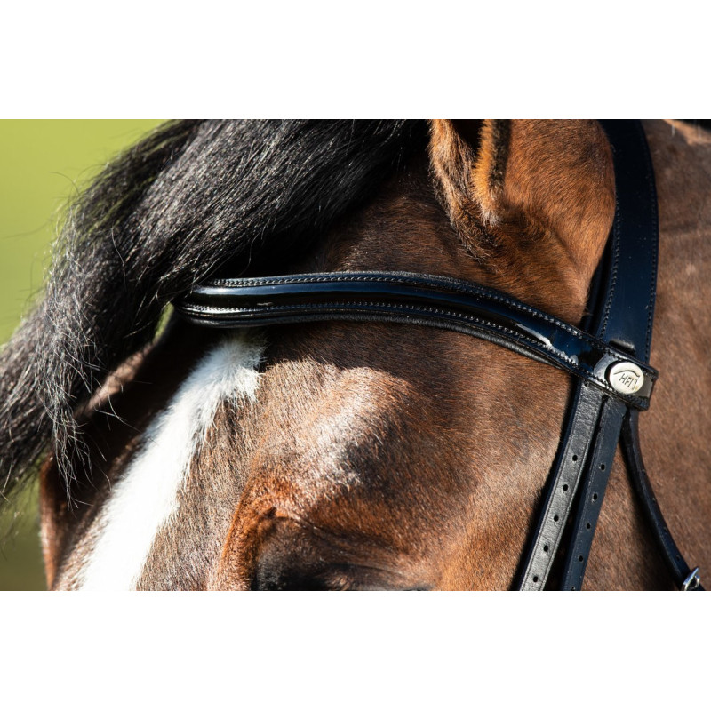 Bride Dressage 2 en 1 - HFI