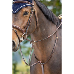 RUNNING MARTINGALE