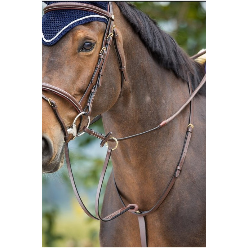 RUNNING MARTINGALE - HFI