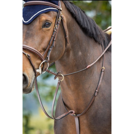 RUNNING MARTINGALE - HFI