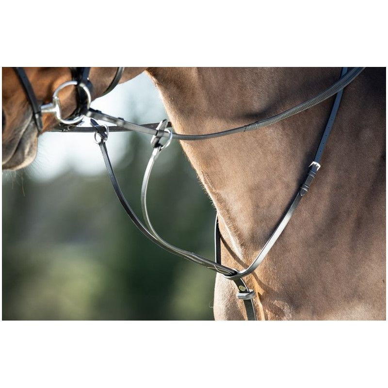 RUNNING MARTINGALE - HFI