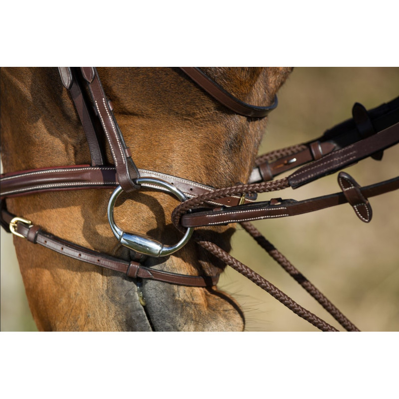 Rênes allemandes cuir + corde - HFI