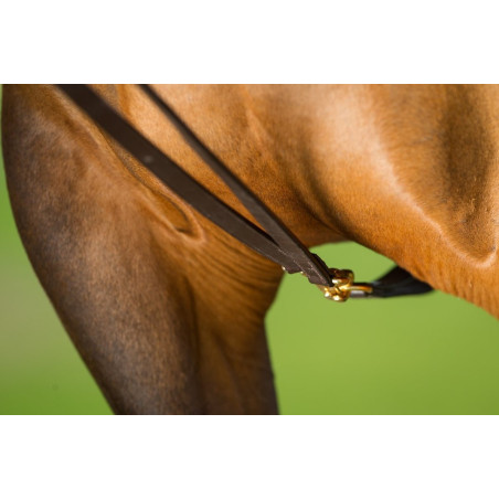 Leather Draw reins - HFI