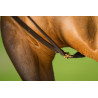 Leather Draw reins  - HFI