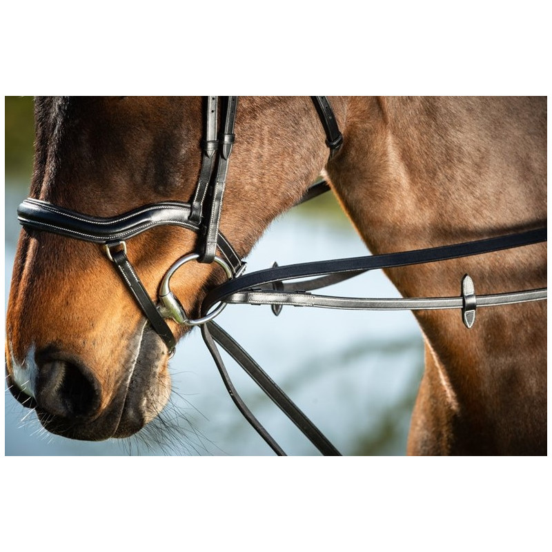 Leather Draw reins  - HFI