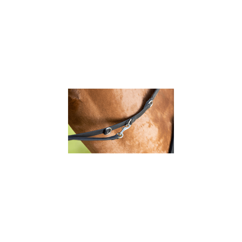 Howlett REINS - HFI
