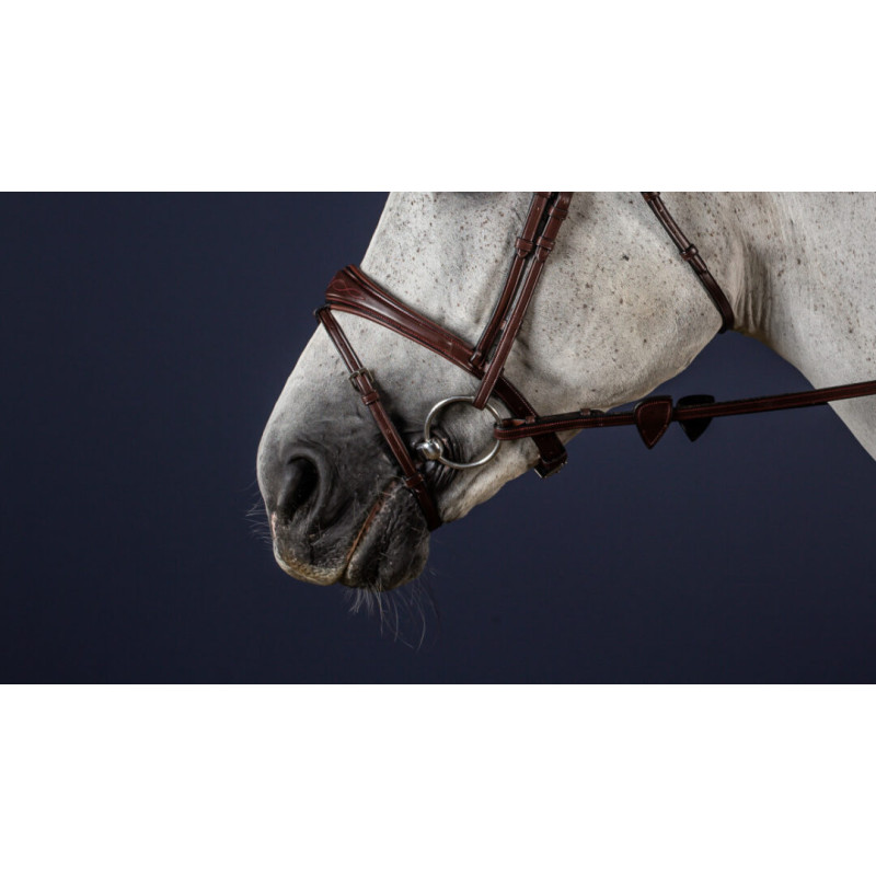 Noseband New English - Dyon