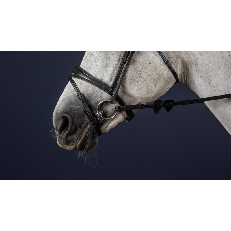 Noseband New English - Dyon