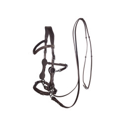 Hackamore Bridle Calli