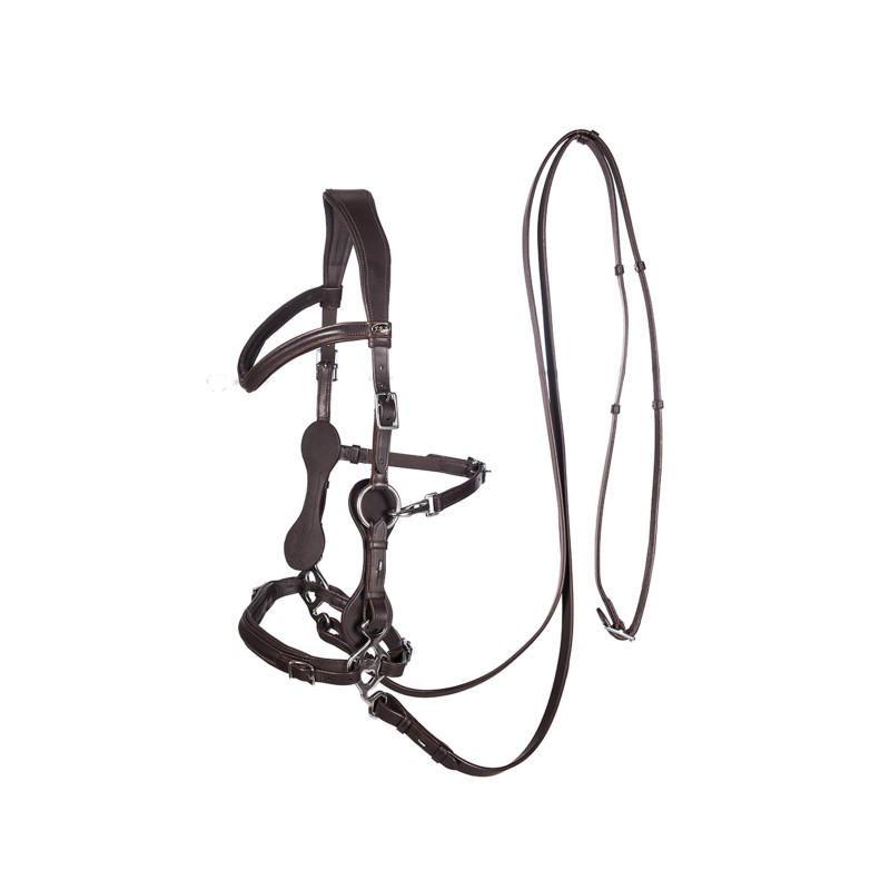 Hackamore Bridle Calli - FRA