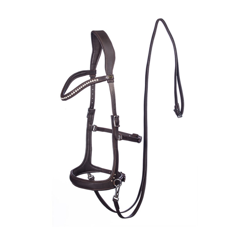 Rebecca Bitless Bridle - FRA