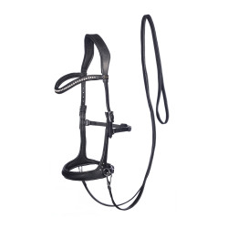 Rebecca Bitless Bridle